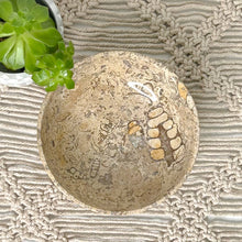 Load image into Gallery viewer, FOSSIL CORAL BOWL