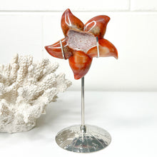 Load image into Gallery viewer, CARNELIAN STARFISH