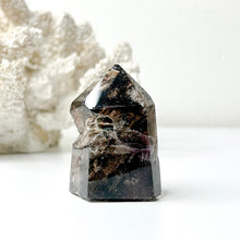 Load image into Gallery viewer, INCLUDED QUARTZ