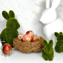 Load image into Gallery viewer, CARNELIAN EGG