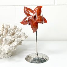 Load image into Gallery viewer, CARNELIAN STARFISH