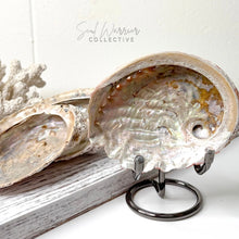 Load image into Gallery viewer, ABALONE SHELL