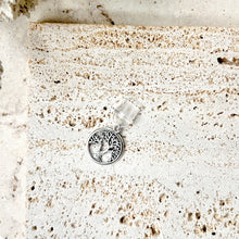 Load image into Gallery viewer, CHARM DUST PLUG USB- A