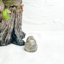 Load image into Gallery viewer, NAUTILUS AMMONITE FOSSIL