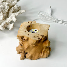 Load image into Gallery viewer, DRIFTWOOD LED LIGHT BASE