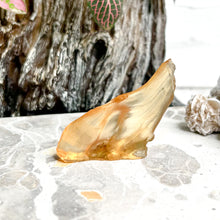 Load image into Gallery viewer, COPAL AMBER