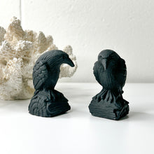 Load image into Gallery viewer, BLACK OBSIDIAN RAVEN