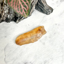 Load image into Gallery viewer, COPAL AMBER