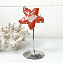 Load image into Gallery viewer, CARNELIAN STARFISH