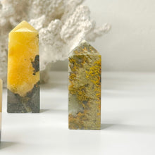 Load image into Gallery viewer, BUMBLEBEE JASPER MINI POINT