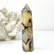 Load image into Gallery viewer, SEPTARIAN POINT