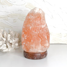Load image into Gallery viewer, NATURAL HIMALAYAN SALT LAMP