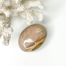 Load image into Gallery viewer, PETRIFIED WOOD PALMSTONE