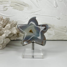 Load image into Gallery viewer, AGATE STARFISH CARVING