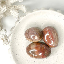 Load image into Gallery viewer, PETRIFIED WOOD PALMSTONE