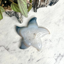Load image into Gallery viewer, AGATE STARFISH CARVING