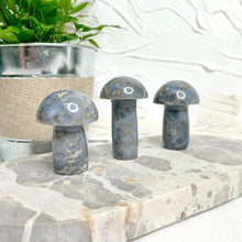 Load image into Gallery viewer, BLUE QUARTZ MUSHROOM