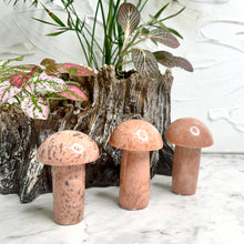 Load image into Gallery viewer, PEACH MOONSTONE MUSHROOM
