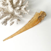 Load image into Gallery viewer, COPAL AMBER
