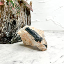 Load image into Gallery viewer, TOURMALINE IN QUARTZ ROUGH
