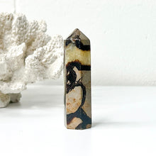 Load image into Gallery viewer, SEPTARIAN POINT
