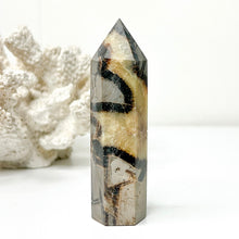 Load image into Gallery viewer, SEPTARIAN POINT
