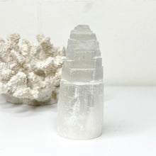Load image into Gallery viewer, SELENITE TOWER
