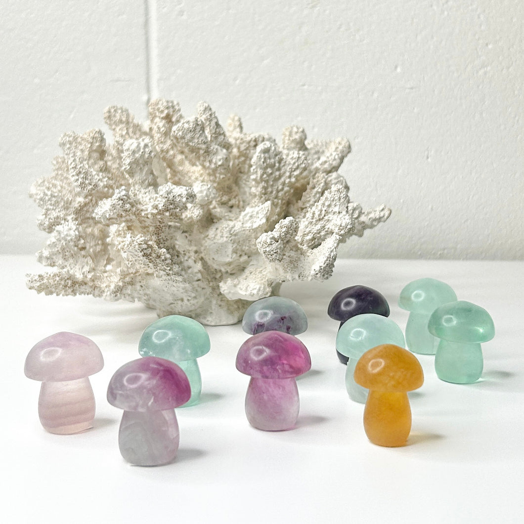 FLUORITE MINI MUSHROOM CARVING