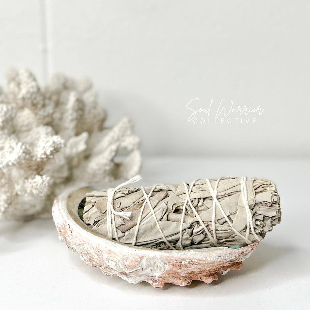 ABALONE SHELL