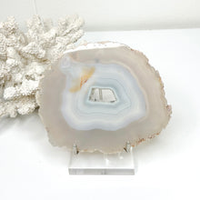 Load image into Gallery viewer, PERSPEX BASE DISPLAY STAND SILVER
