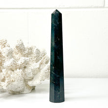 Load image into Gallery viewer, BLACK TOURMALINE POINT
