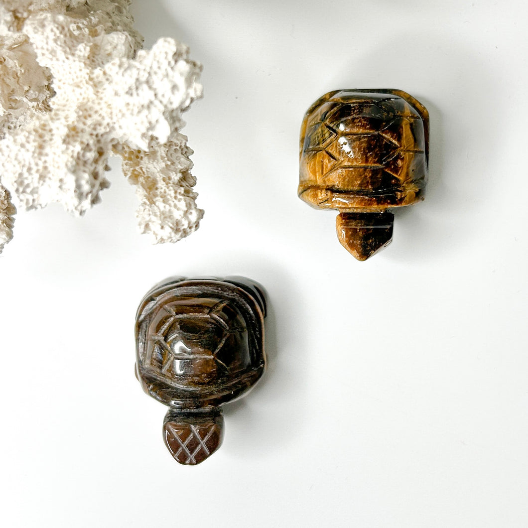 TIGERS EYE TURTLE