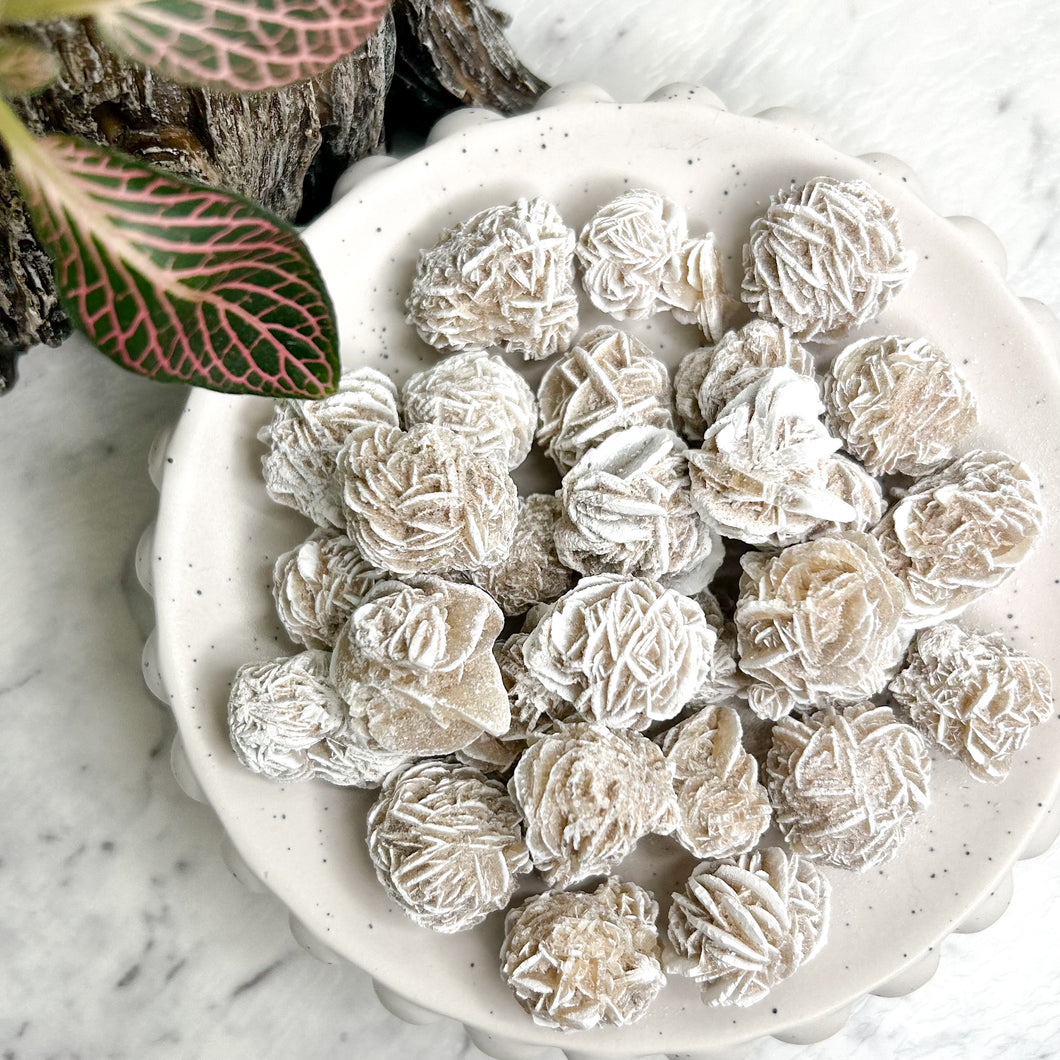 DESERT ROSE SELENITE