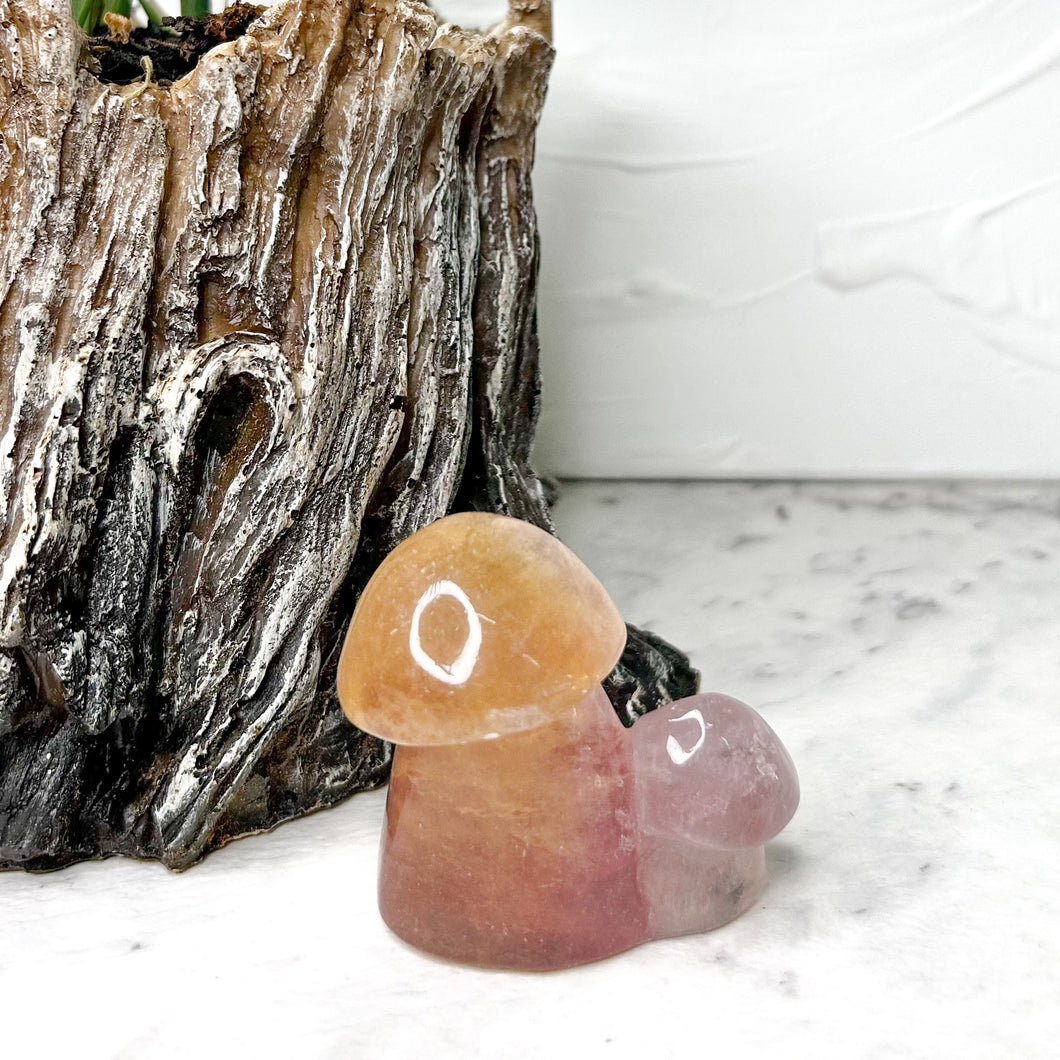 FLUORITE MUSHROOM CARVING