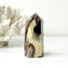 Load image into Gallery viewer, SEPTARIAN POINT
