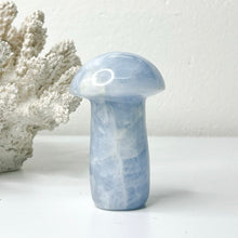 Load image into Gallery viewer, BLUE CALCITE MUSHROOM CARVING
