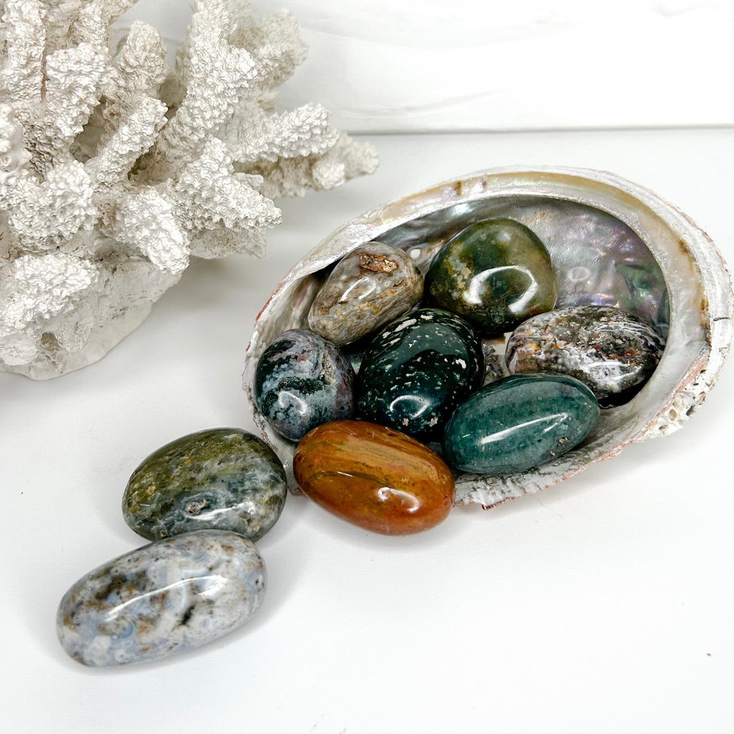 OCEAN JASPER MINI PALMSTONE