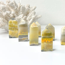 Load image into Gallery viewer, BUMBLEBEE JASPER POINT
