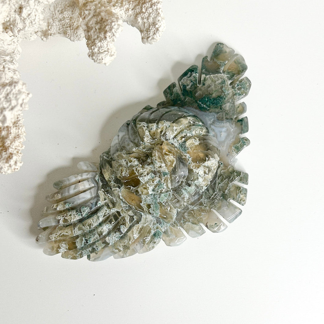 MOSS AGATE SEA CREATURE