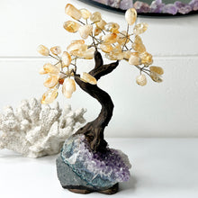 Load image into Gallery viewer, CRYSTAL BONSAI TREE
