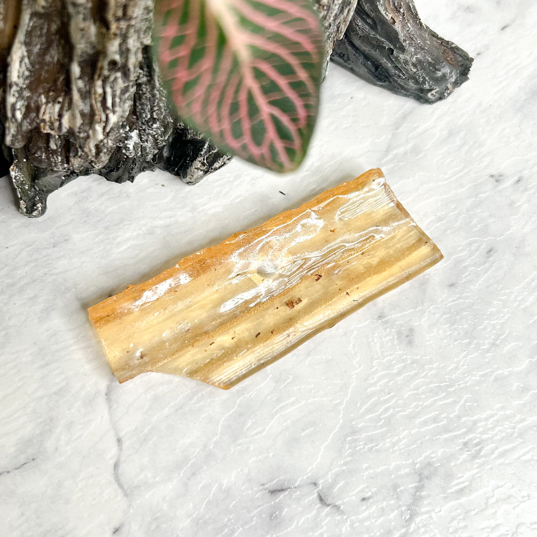 COPAL AMBER