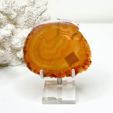 Load image into Gallery viewer, PERSPEX BASE DISPLAY STAND SILVER
