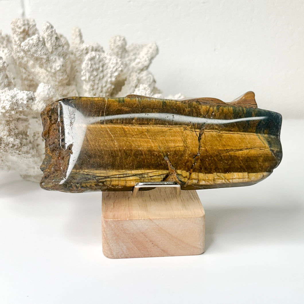 TIGERS EYE SLICE