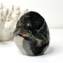 Load image into Gallery viewer, SEPTARIAN DRUZY FREEFORM
