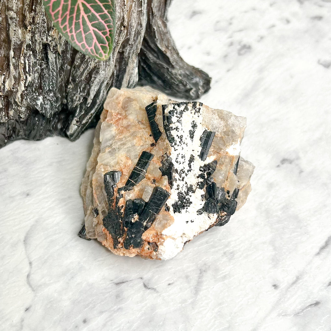 TOURMALINE IN QUARTZ ROUGH