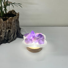 Load image into Gallery viewer, SELENITE FIRE BOWL
