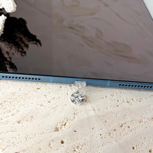 Load image into Gallery viewer, CHARM DUST PLUG USB- C
