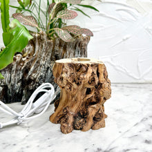 Load image into Gallery viewer, DRIFTWOOD LED LIGHT BASE
