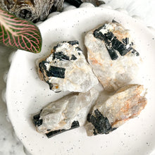 Load image into Gallery viewer, TOURMALINE IN QUARTZ ROUGH

