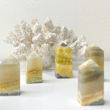 Load image into Gallery viewer, BUMBLEBEE JASPER POINT
